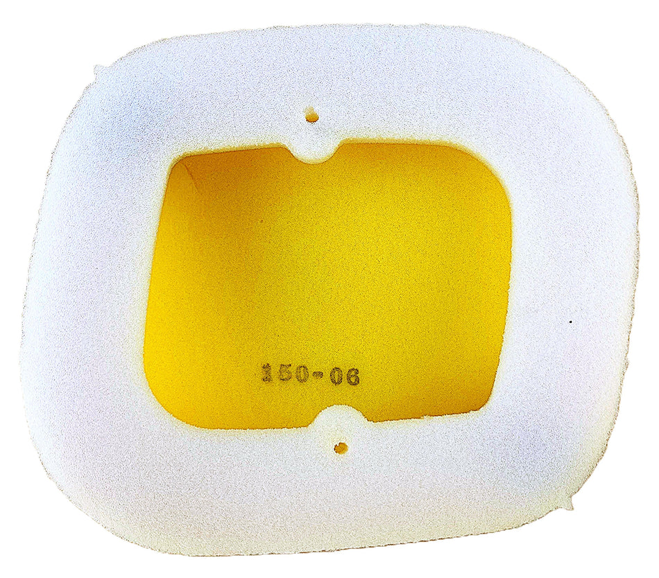 Standard Air Filter : 150-06