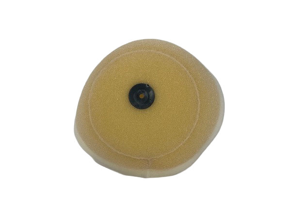 Standard Air Filter : 160-11