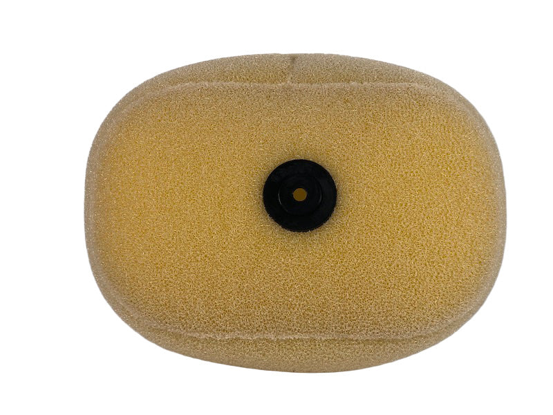Standard Air Filter : 220-15