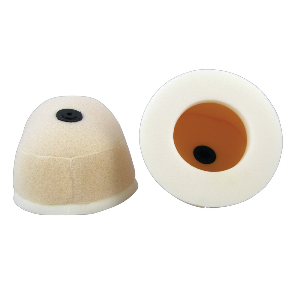 Standard Air Filter : 250-02