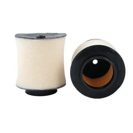 Standard Air Filter : 320-09