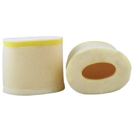 Standard Air Filter : 370-06
